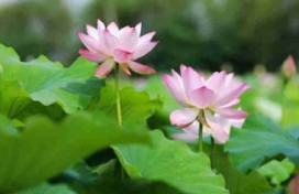 ���ϣ����ս����� �L(f��ng)�����箋(hu��)